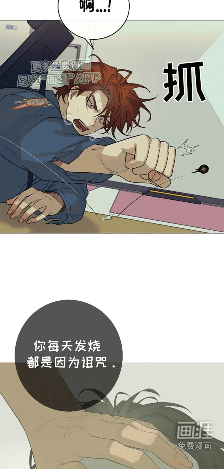 第2章：击杀