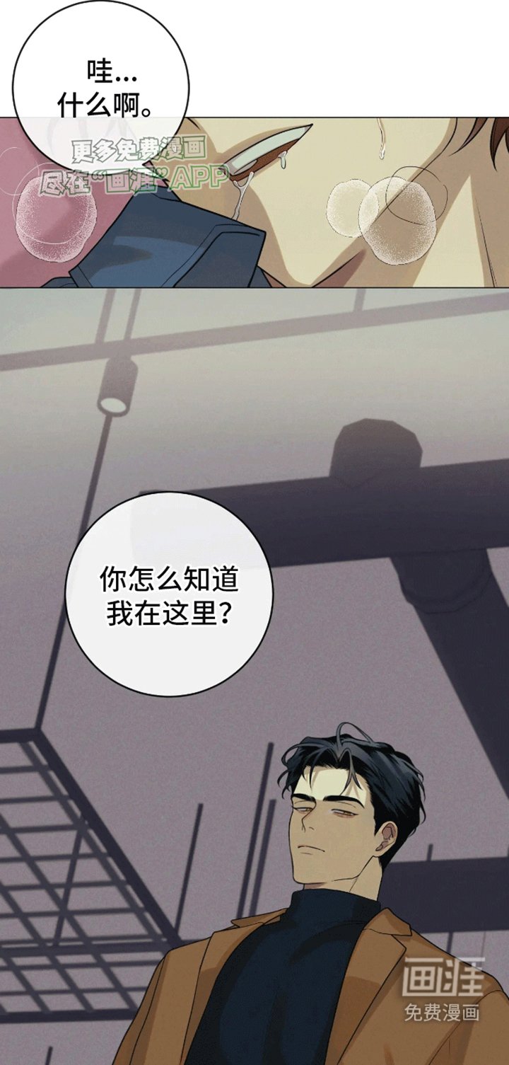 第2章：击杀