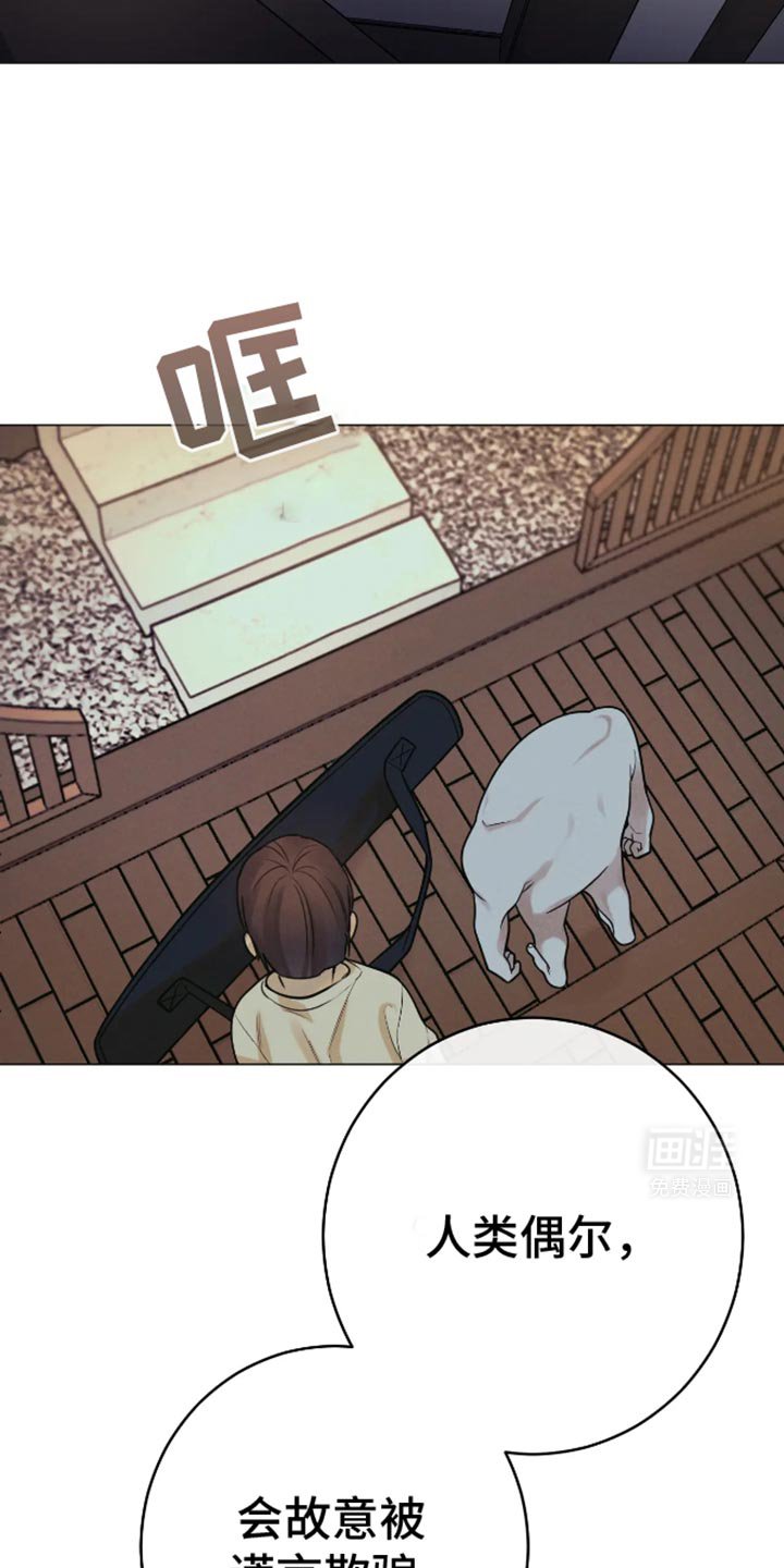 第29章：谎话