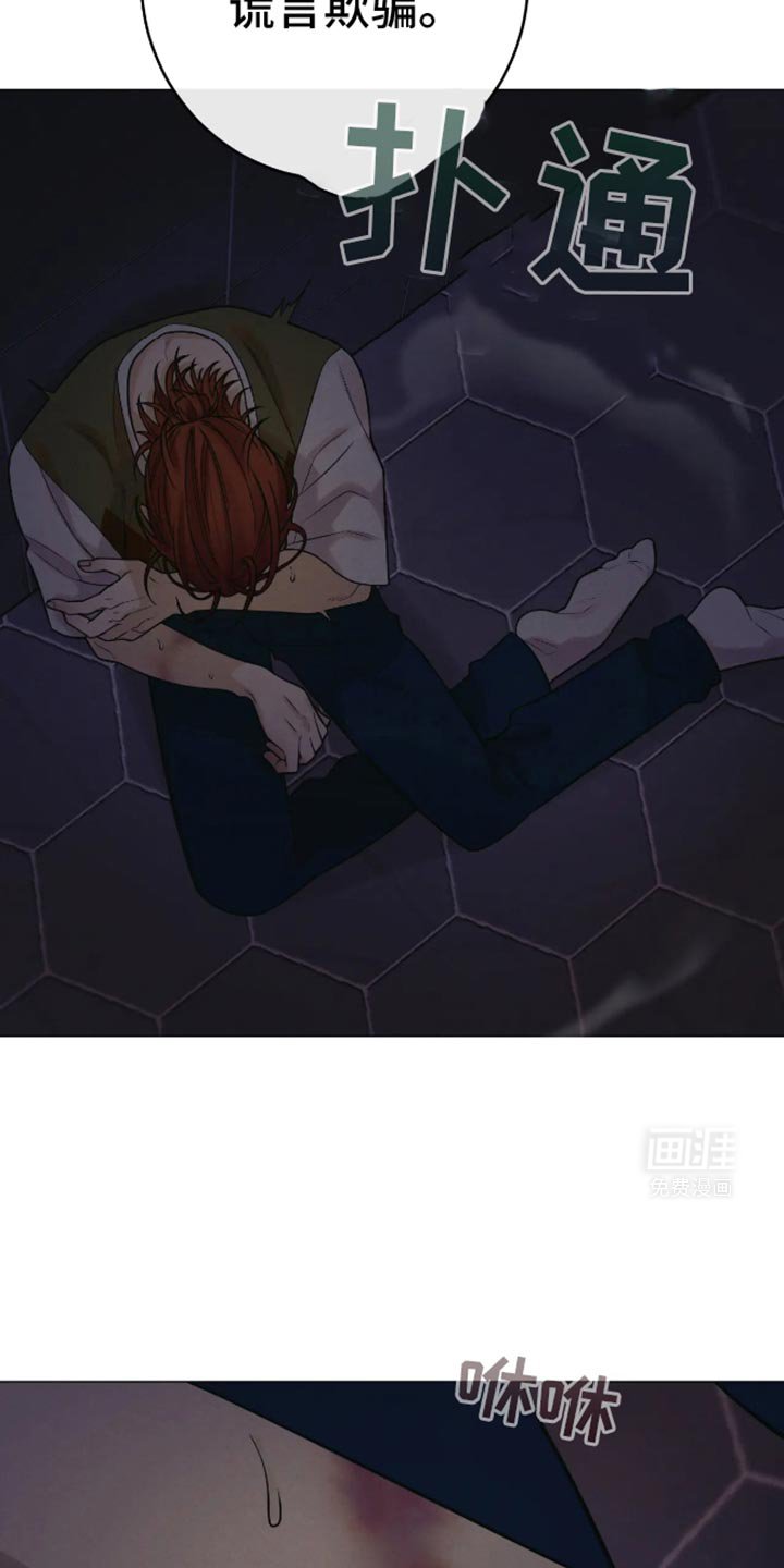 第29章：谎话