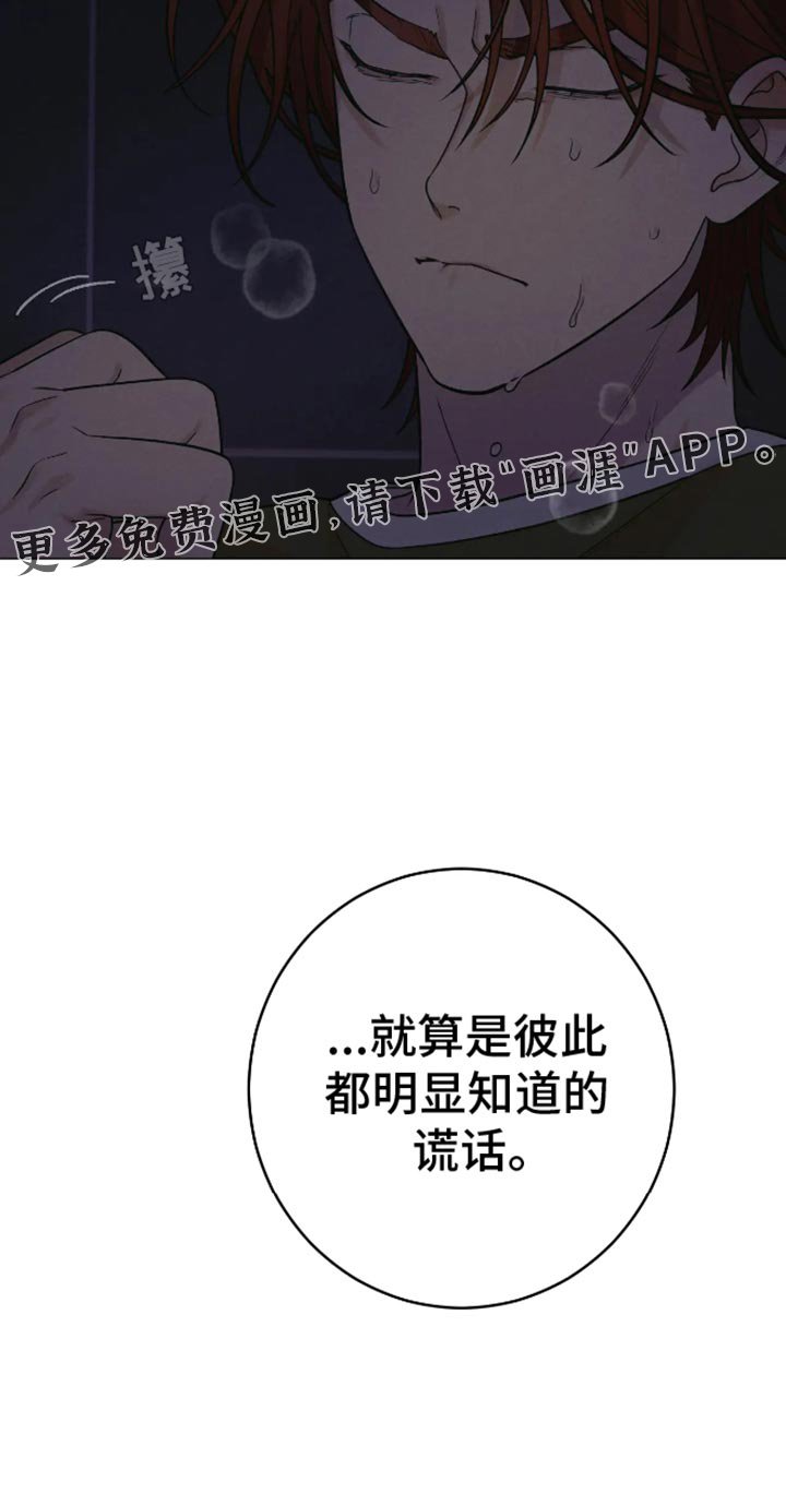 第29章：谎话