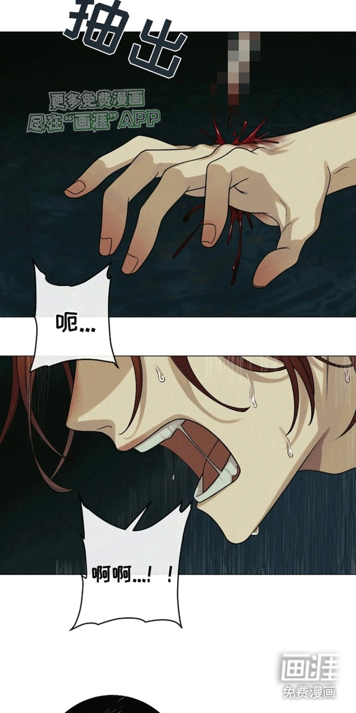第5章：试一试