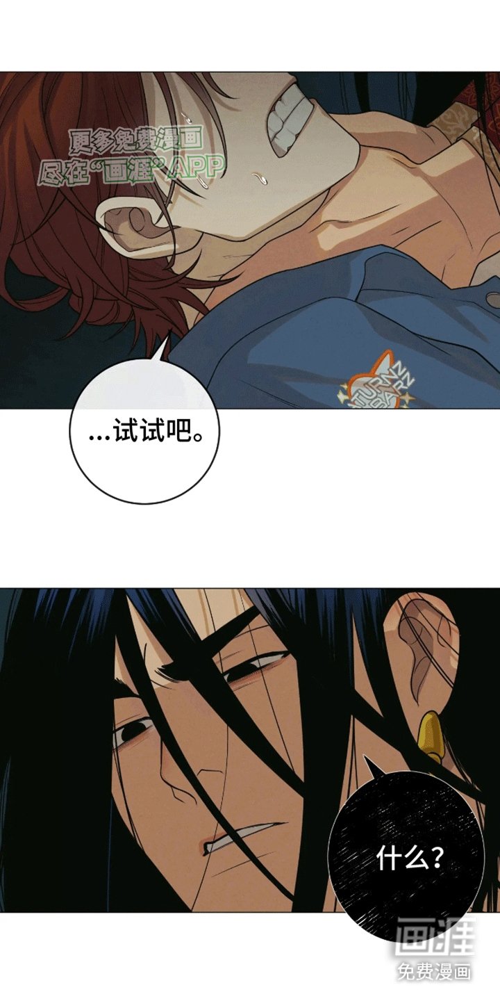 第5章：试一试