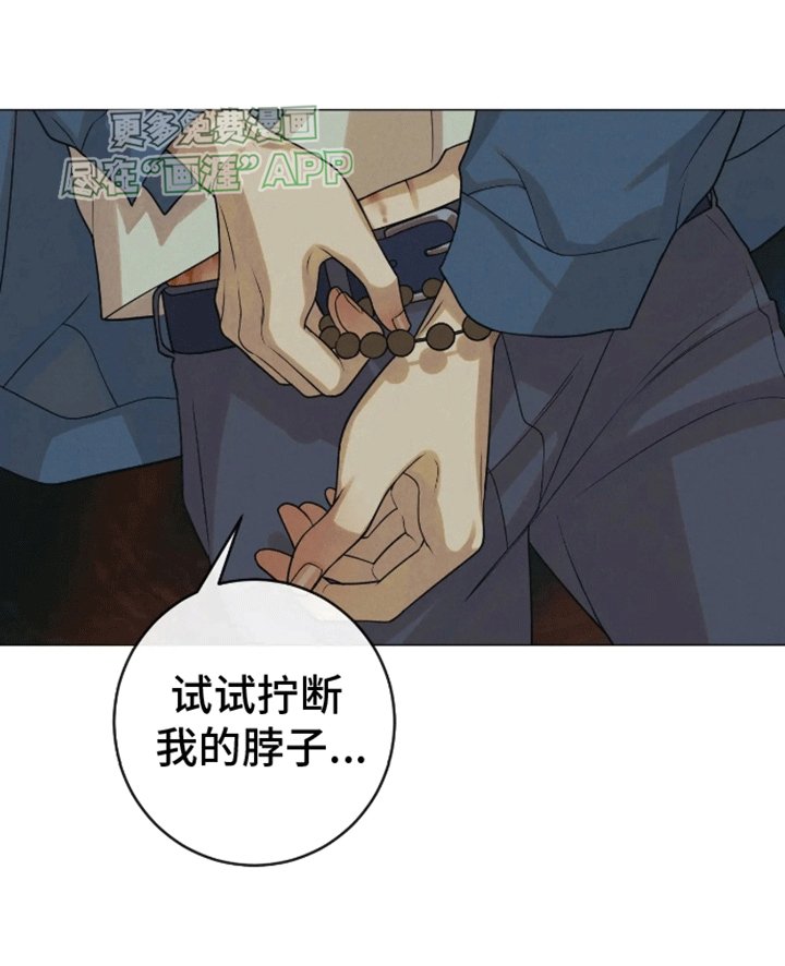 第5章：试一试