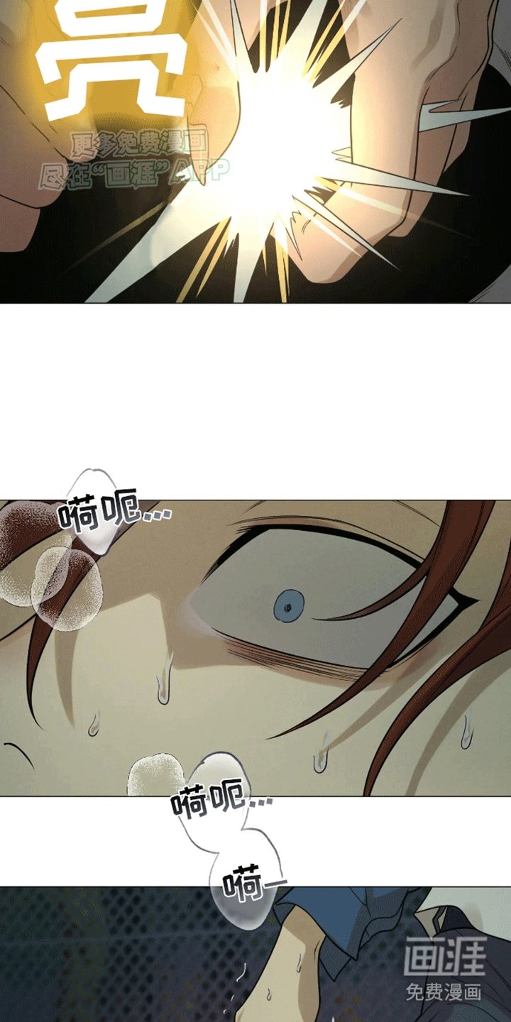 第8章：灵魂交融