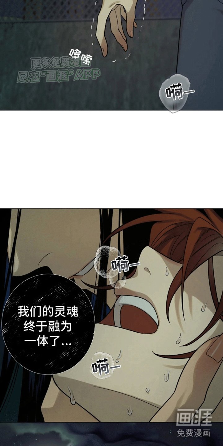 第8章：灵魂交融