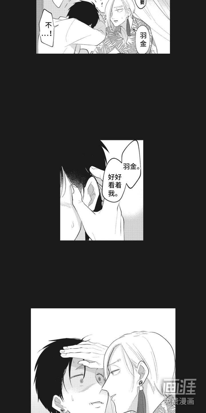 第11章：感受