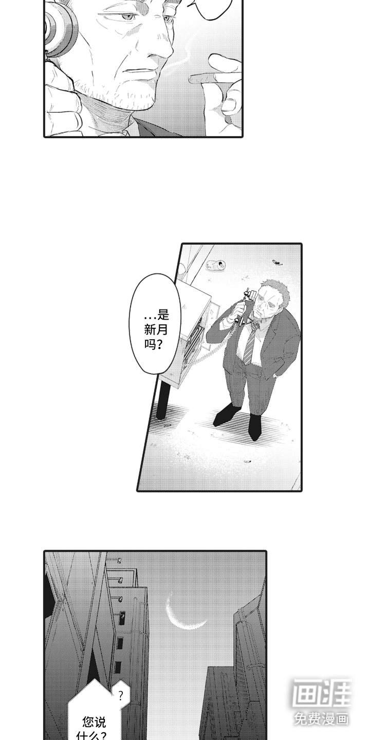 第3章：毒蛇