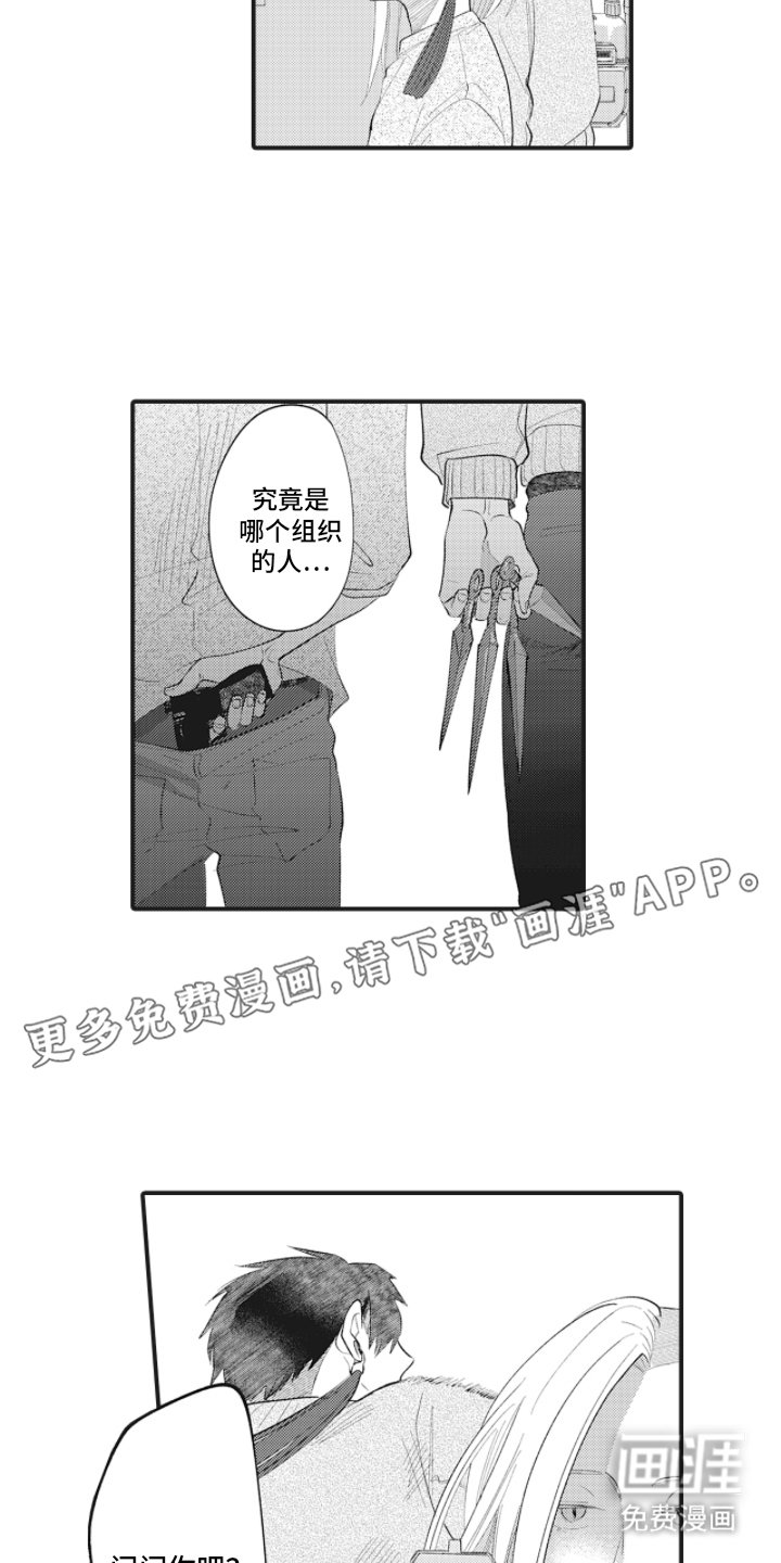 第5章：袭击