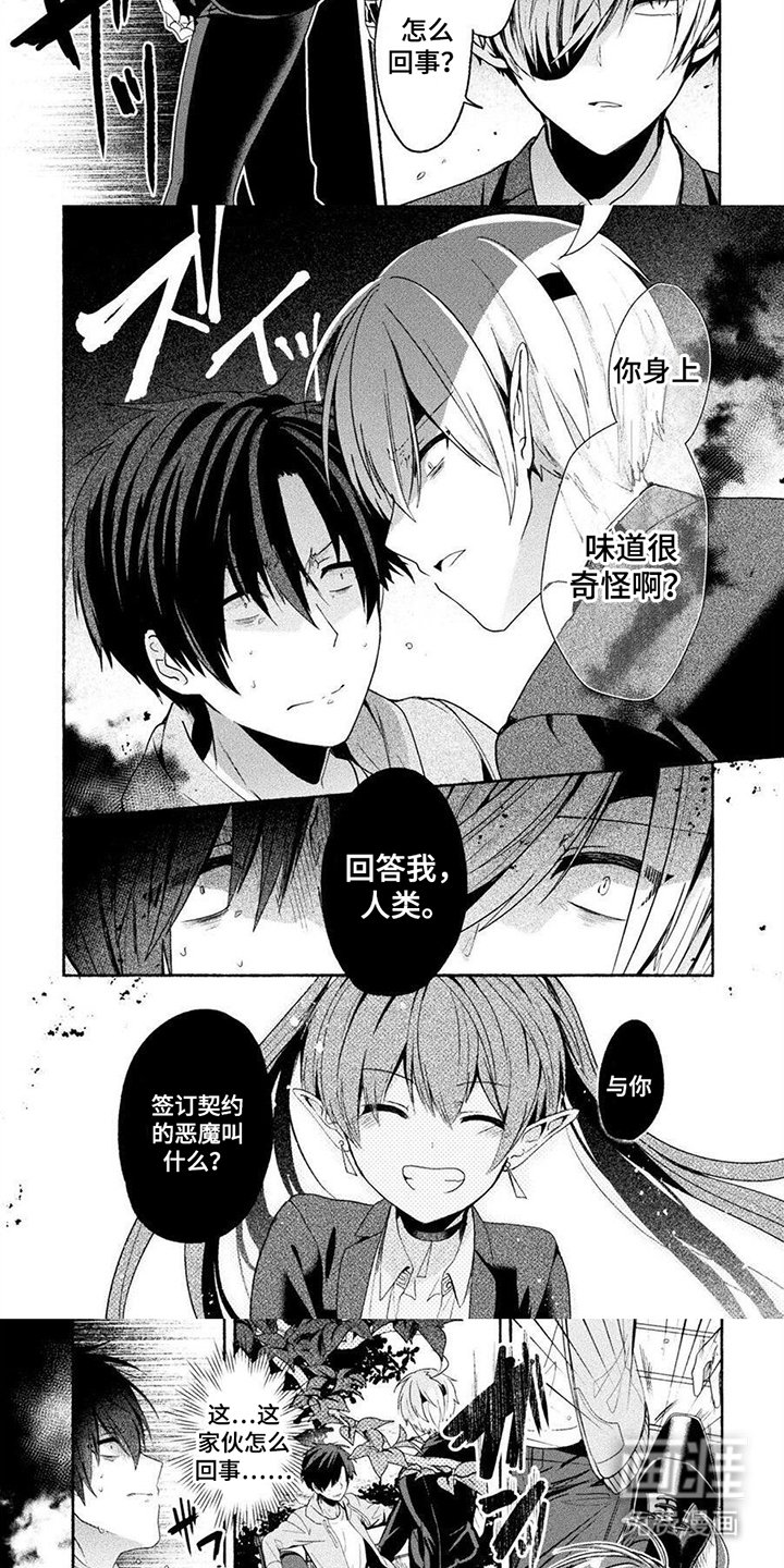 第8章：笨蛋情侣
