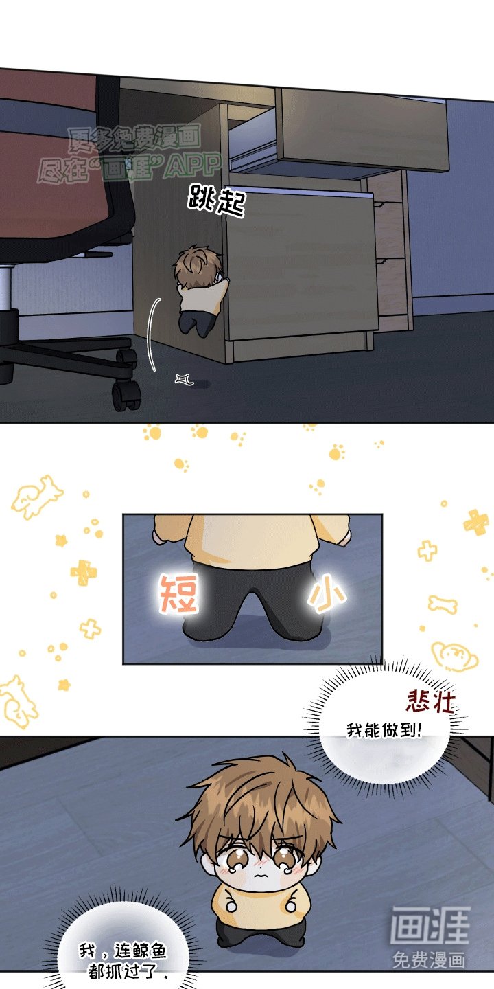 第2章：我来找你了