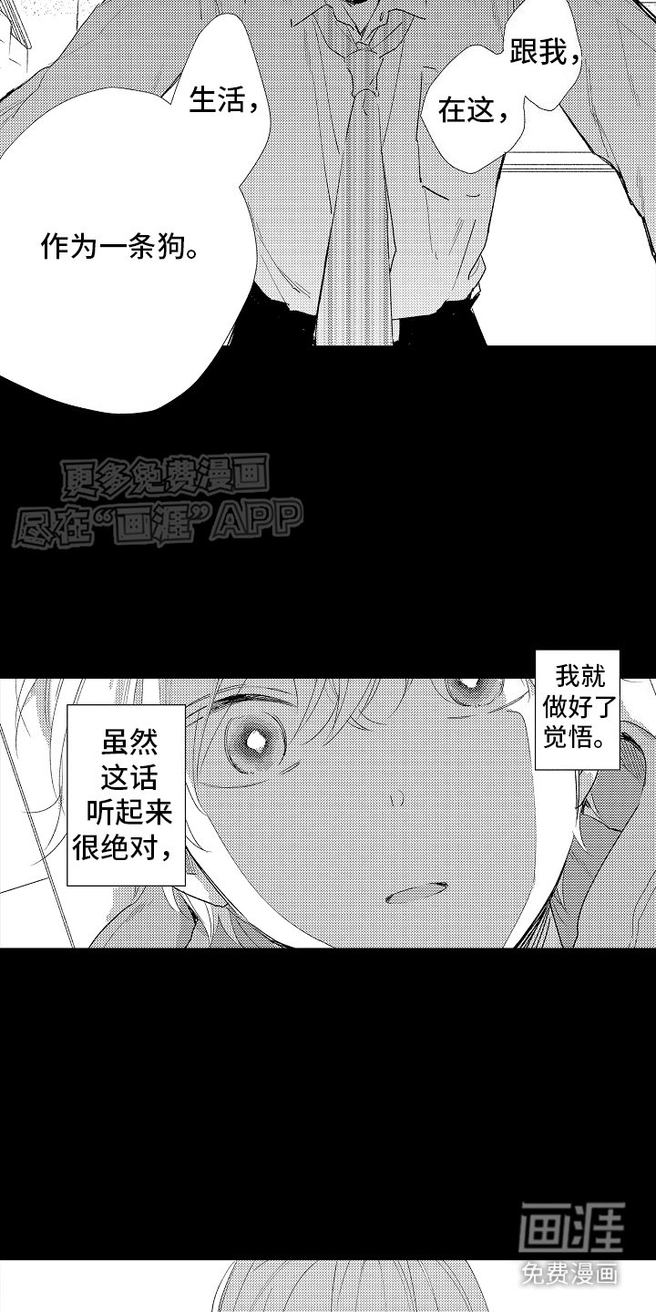 第1章：心灵枷锁：相处方式