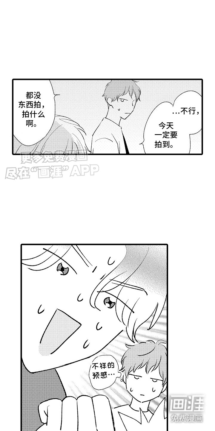 第15章：特殊直播：创造题材 
