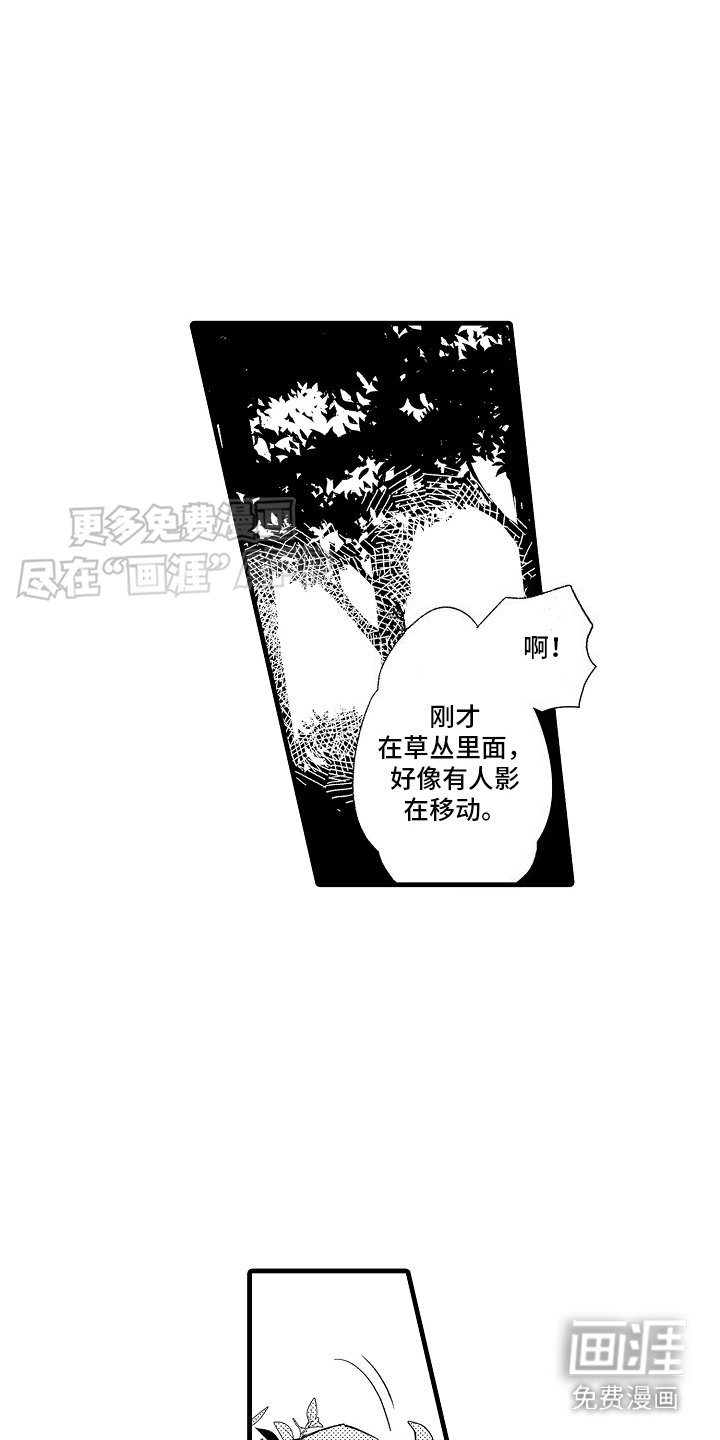 第15章：特殊直播：创造题材 