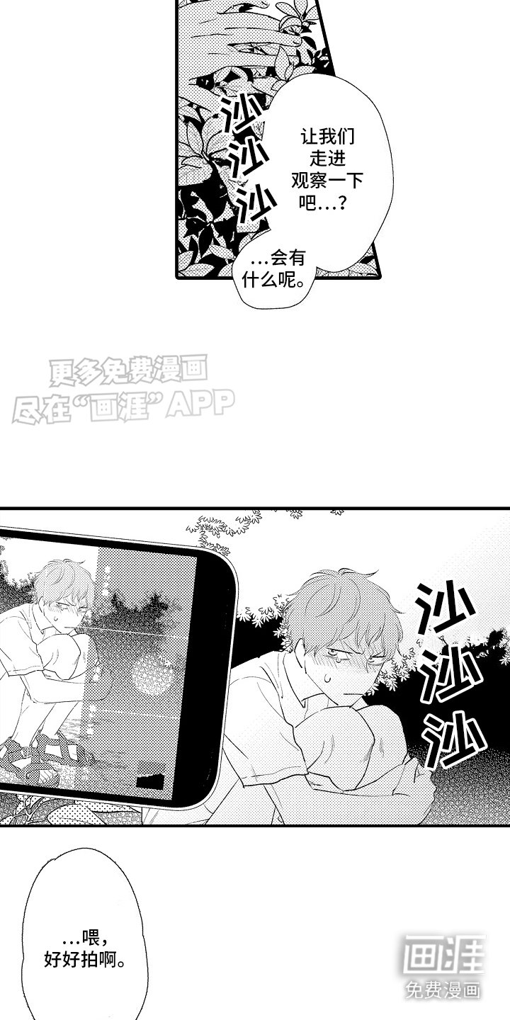 第15章：特殊直播：创造题材 