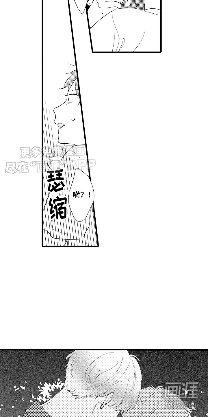 第15章：特殊直播：创造题材 