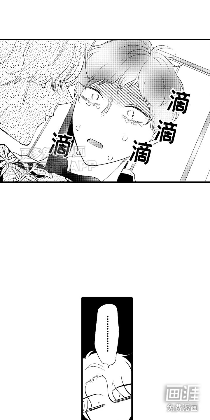 第19章： 特殊直播：现场直播（完）