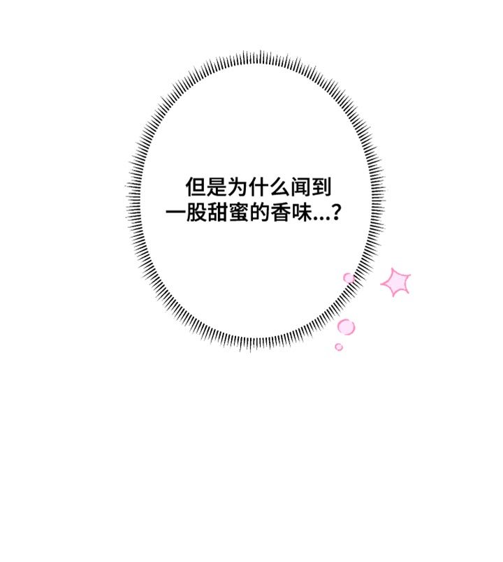 第15章：甜蜜的香味