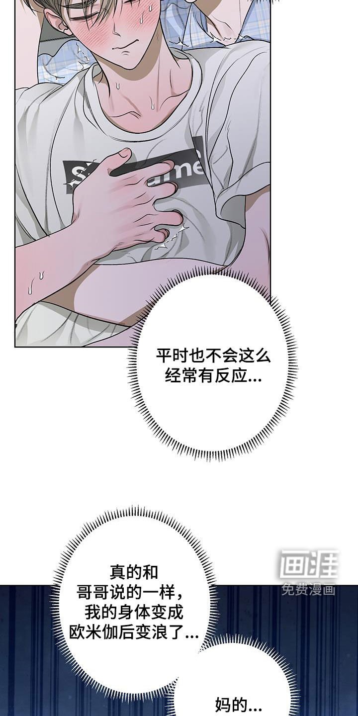 第32章：电话