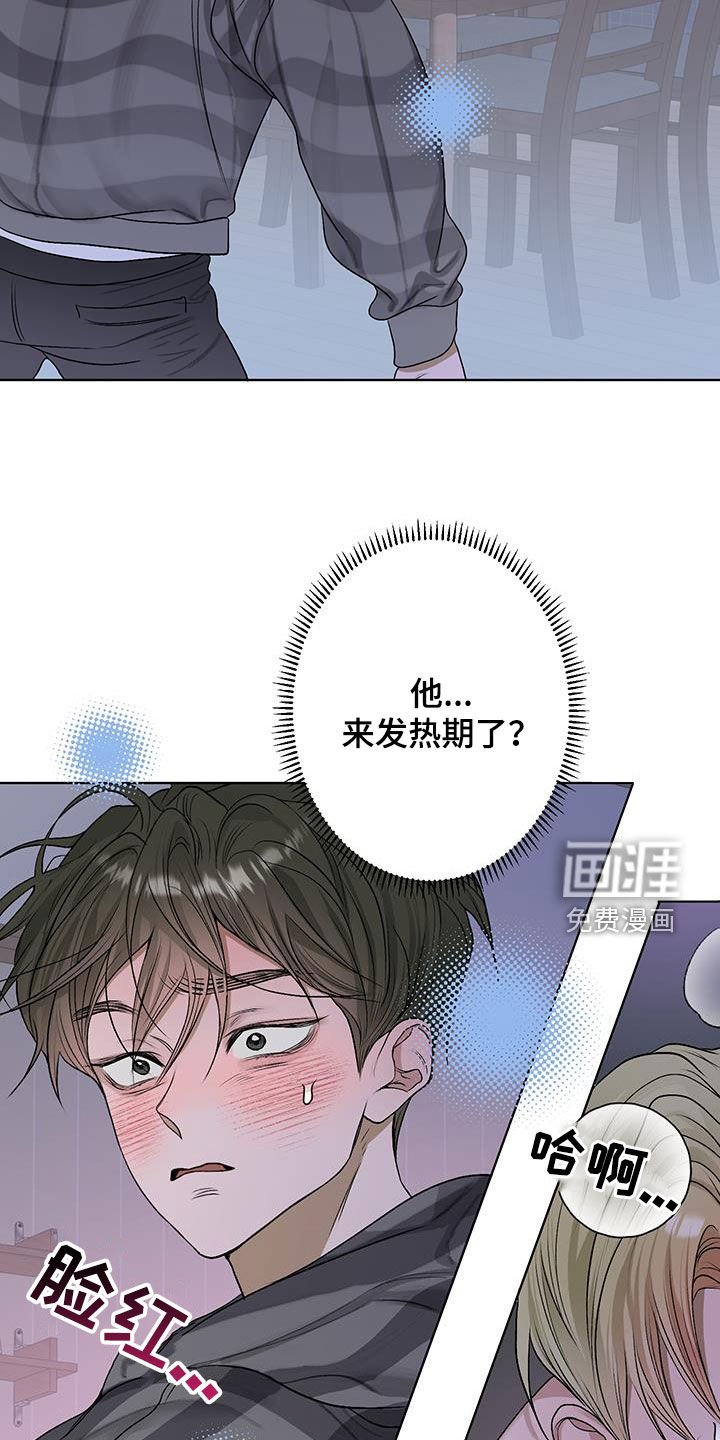 第36章：似曾相识