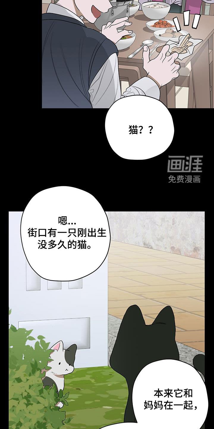 第39章：初中