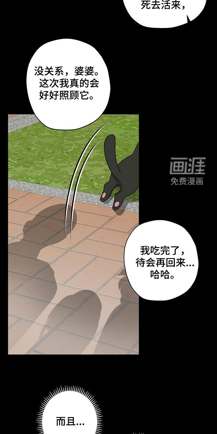 第39章：初中