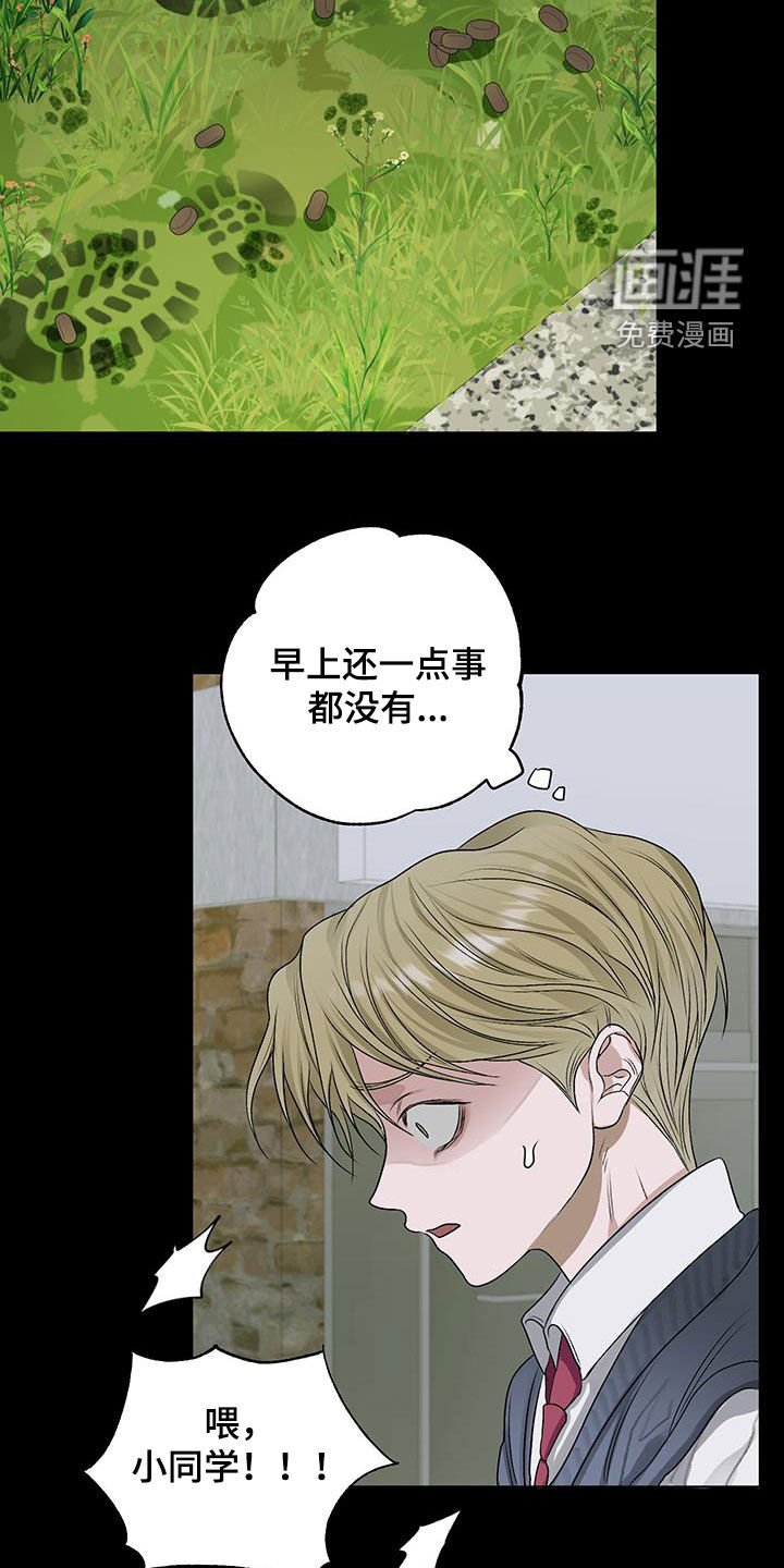 第40章：流浪猫