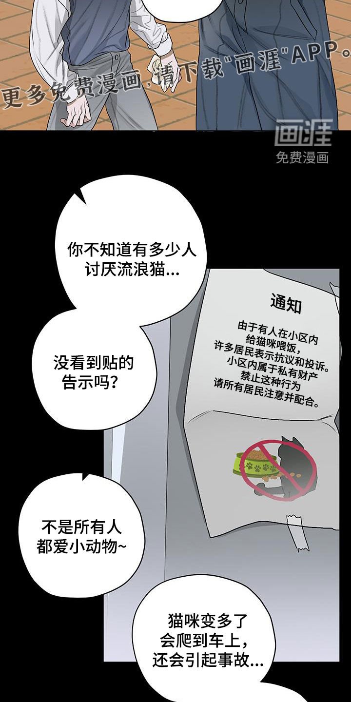 第40章：流浪猫