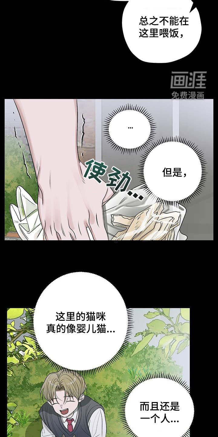 第40章：流浪猫