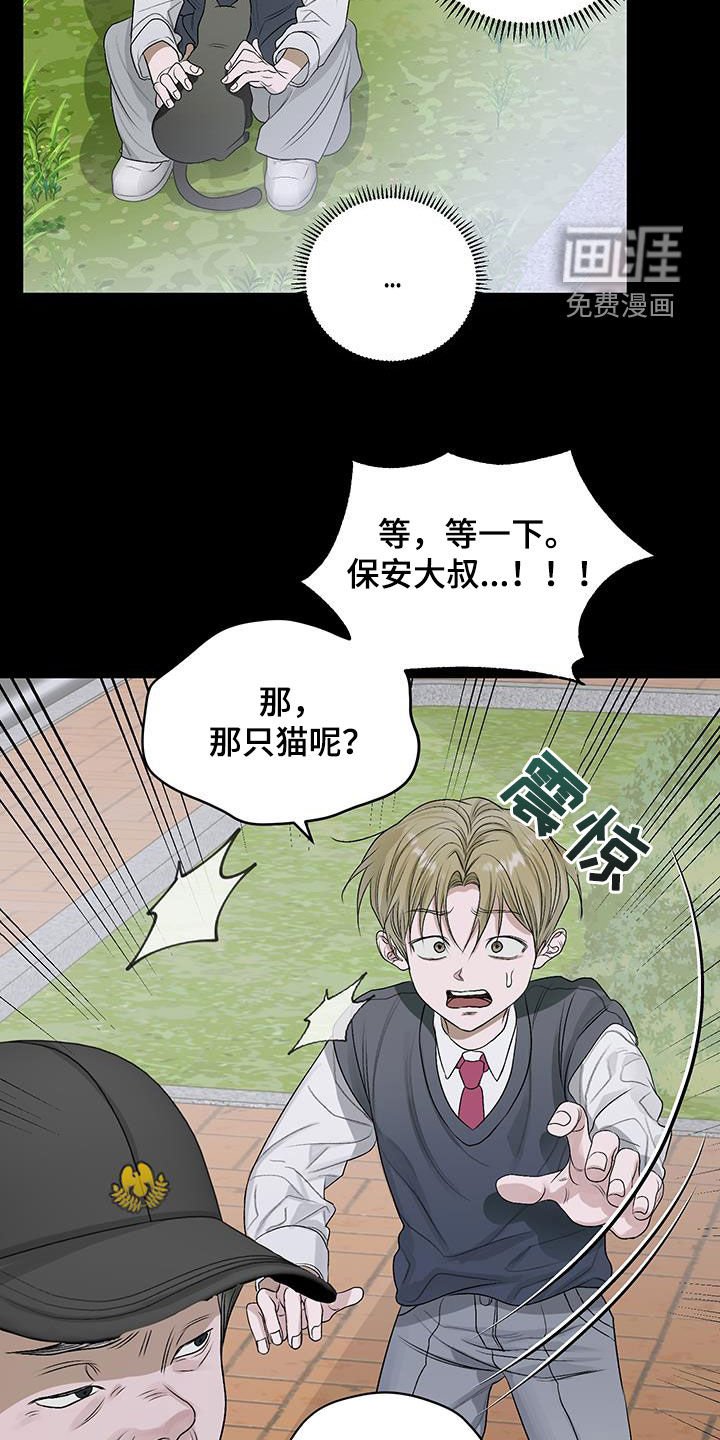 第40章：流浪猫