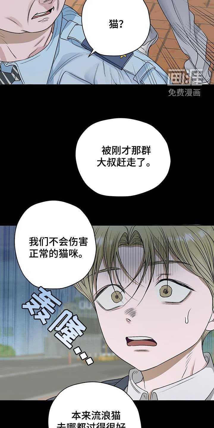 第40章：流浪猫