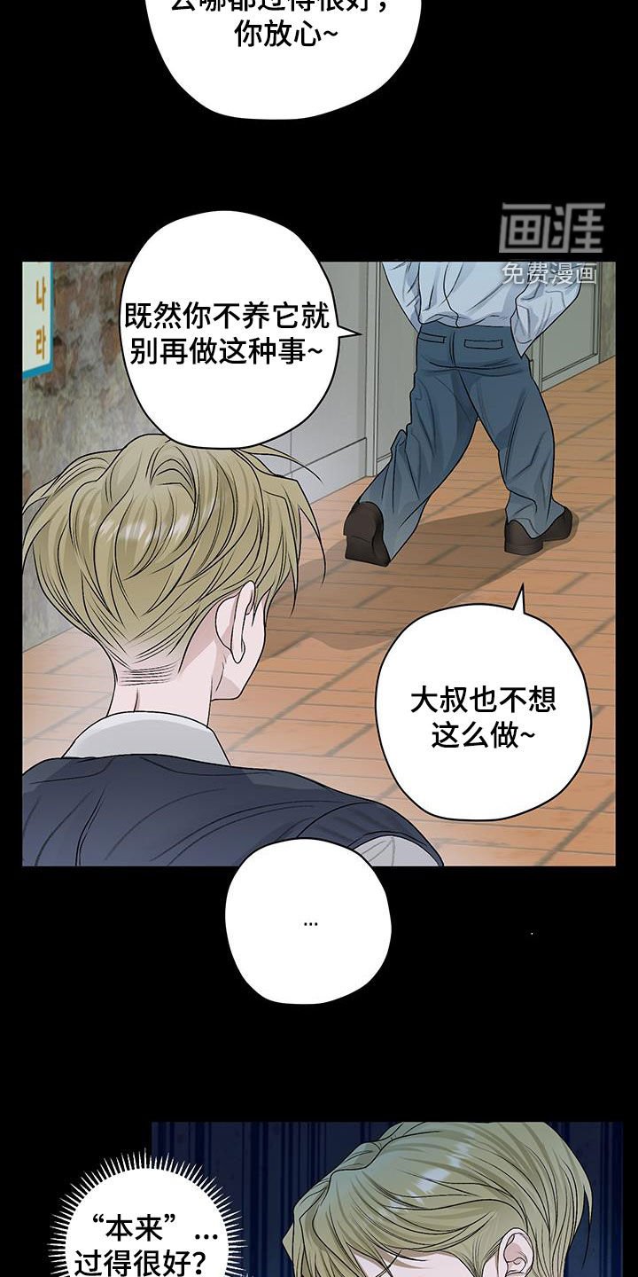 第40章：流浪猫