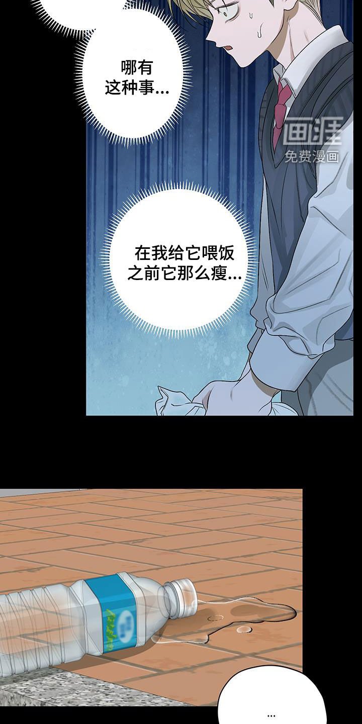 第40章：流浪猫