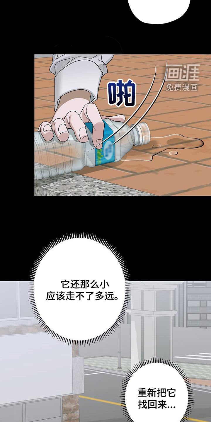 第40章：流浪猫