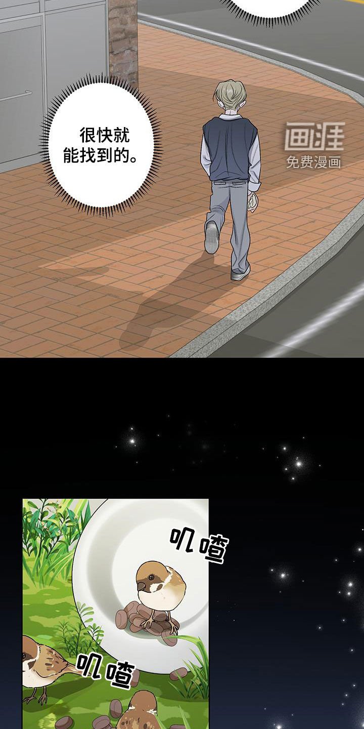 第40章：流浪猫