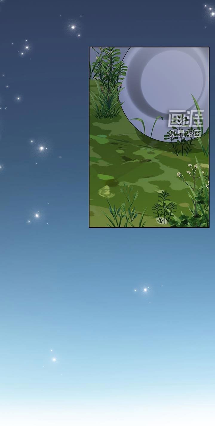 第40章：流浪猫