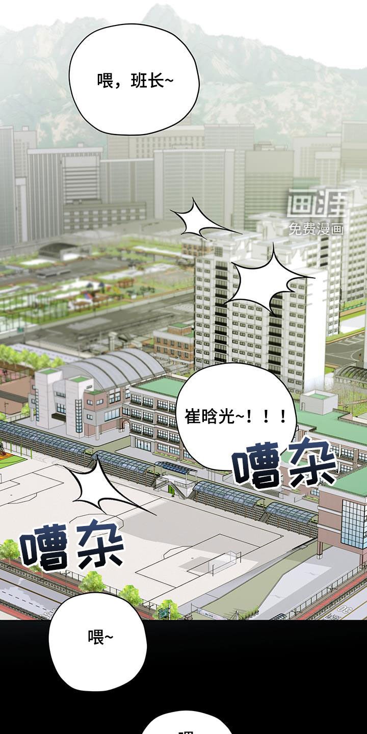 第40章：流浪猫