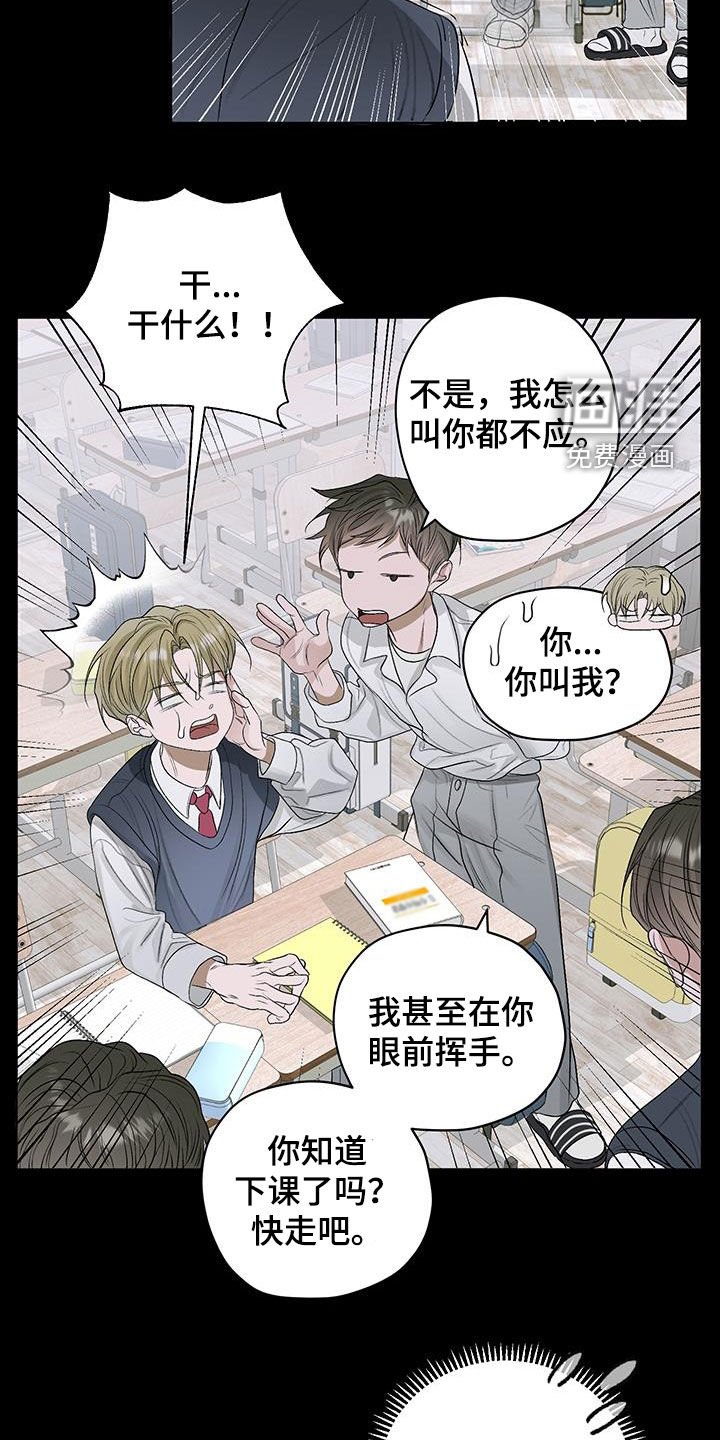 第40章：流浪猫