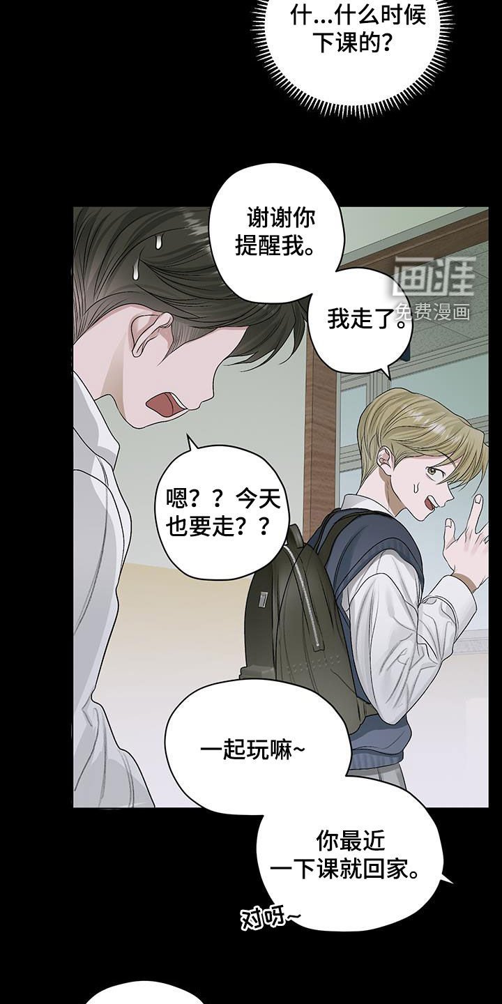 第40章：流浪猫