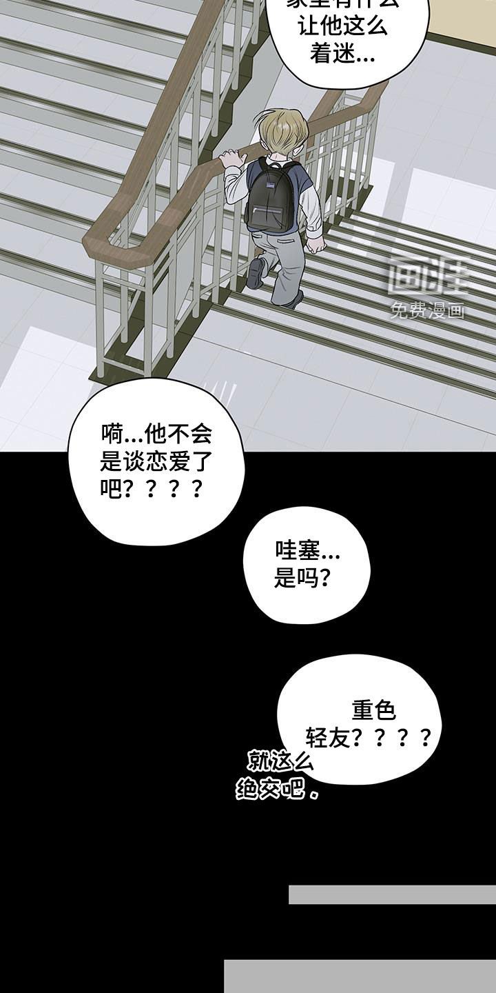 第40章：流浪猫