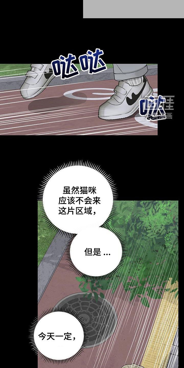 第40章：流浪猫