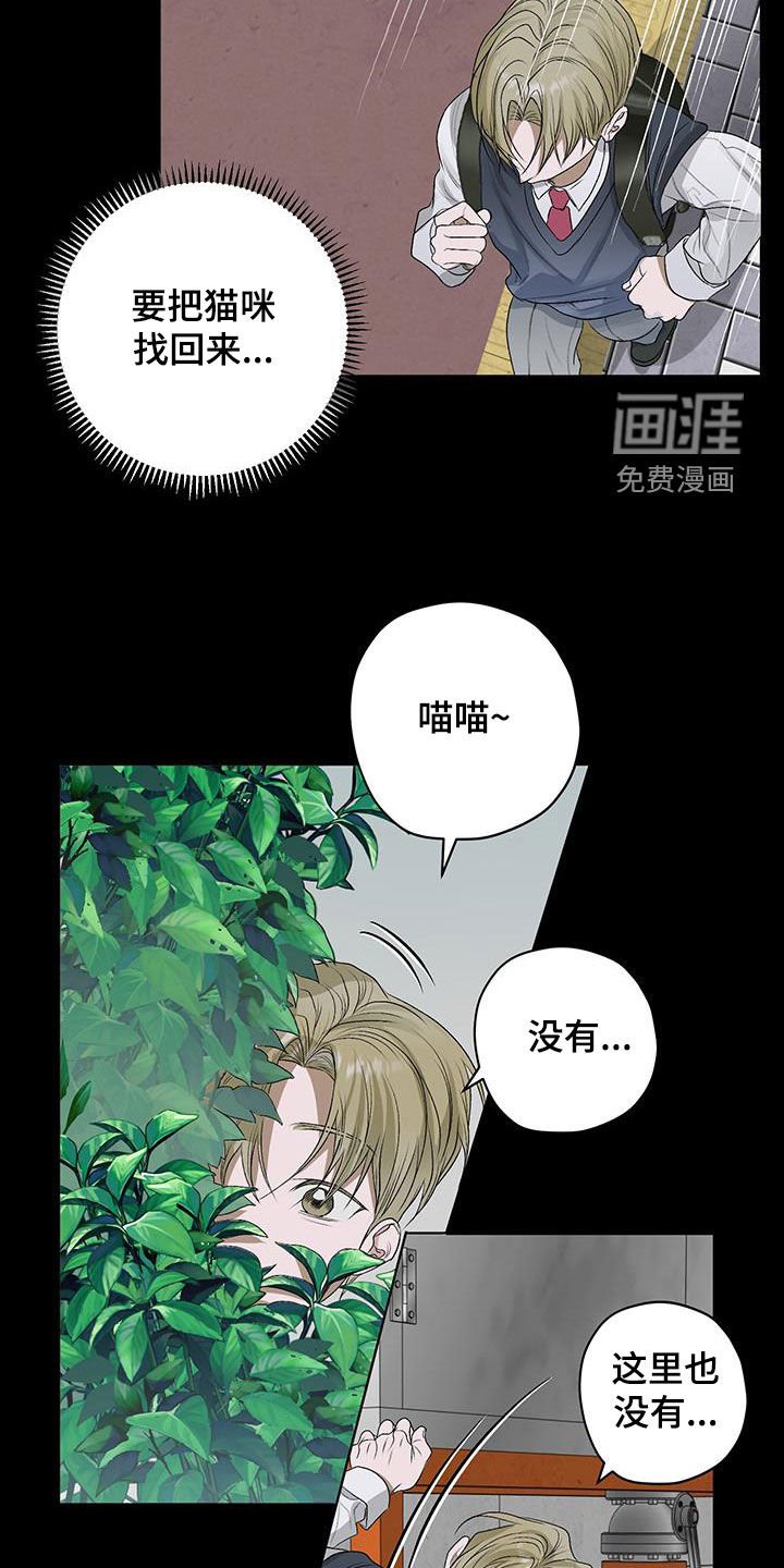 第40章：流浪猫