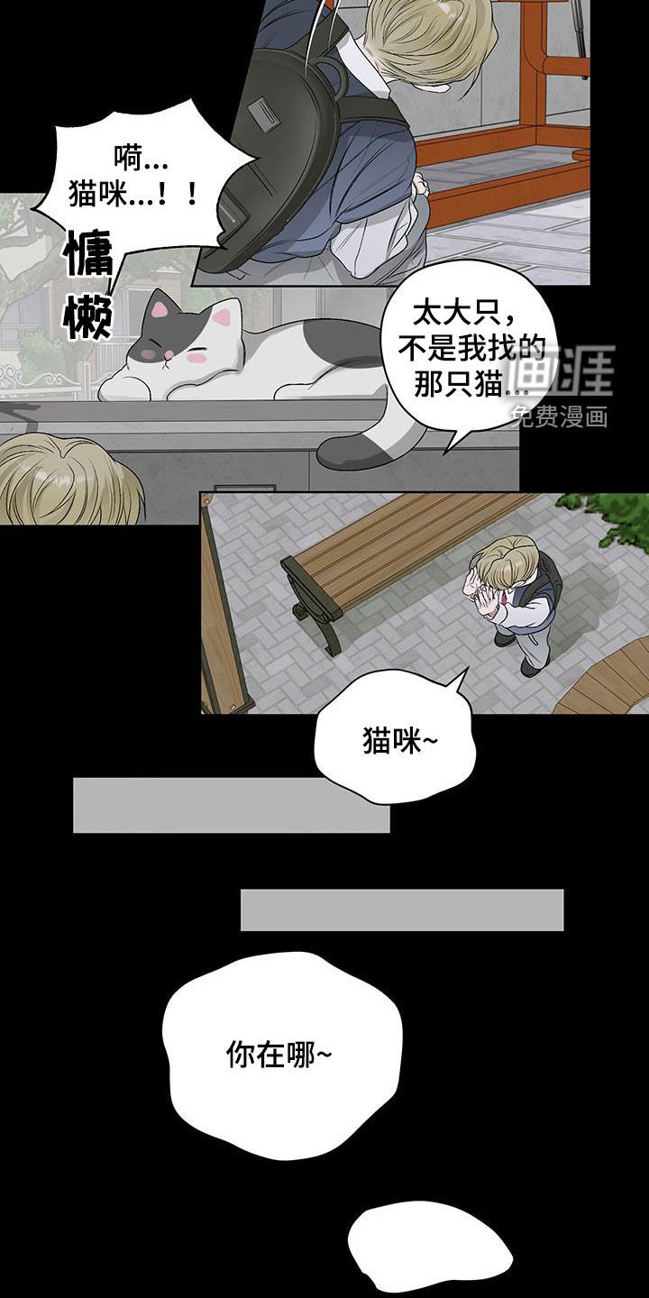 第40章：流浪猫