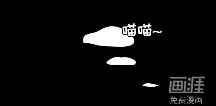 第40章：流浪猫