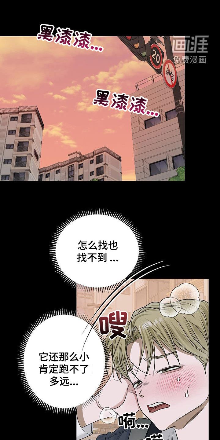 第41章：遗传病