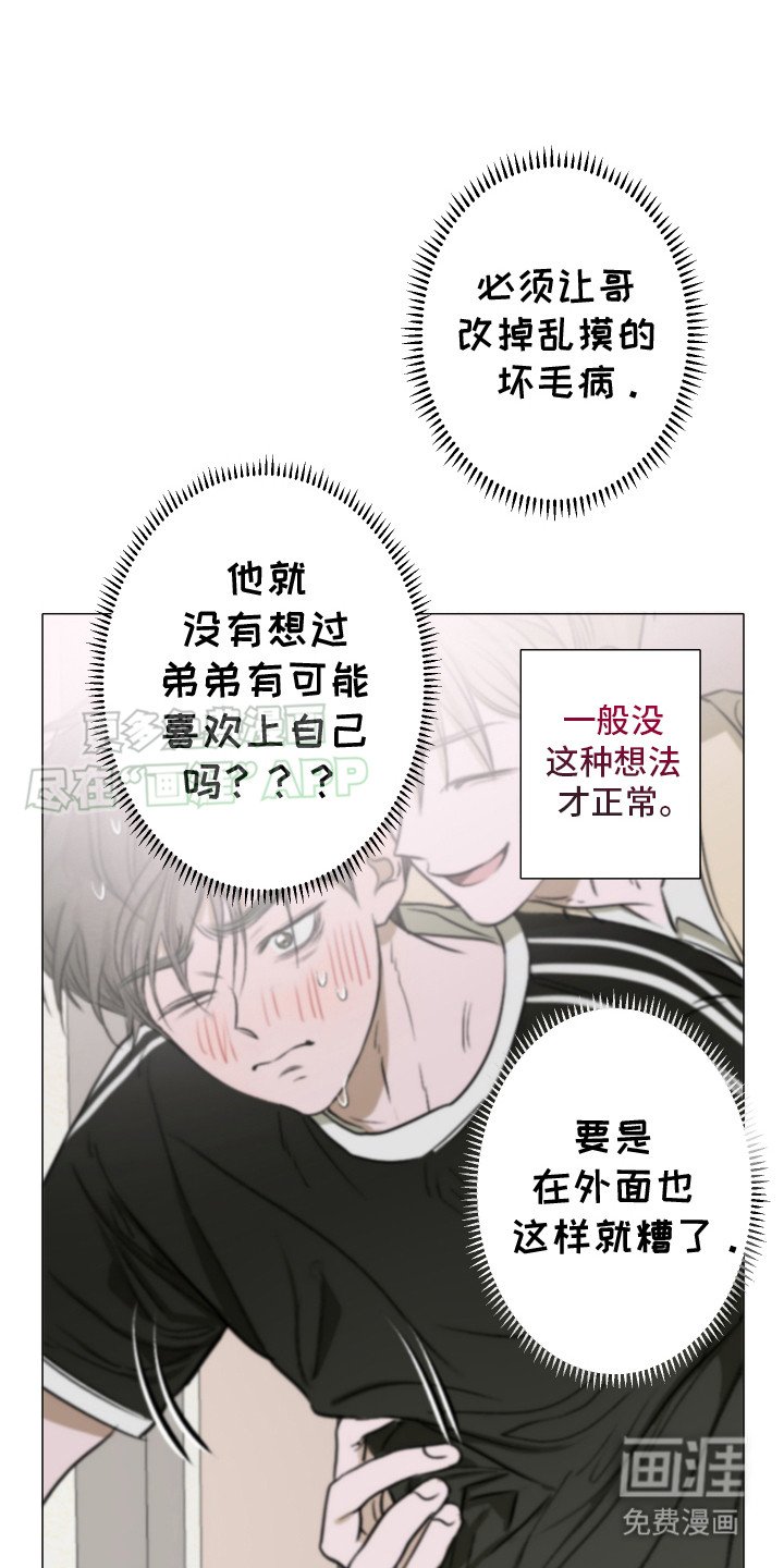第6章：猫咪