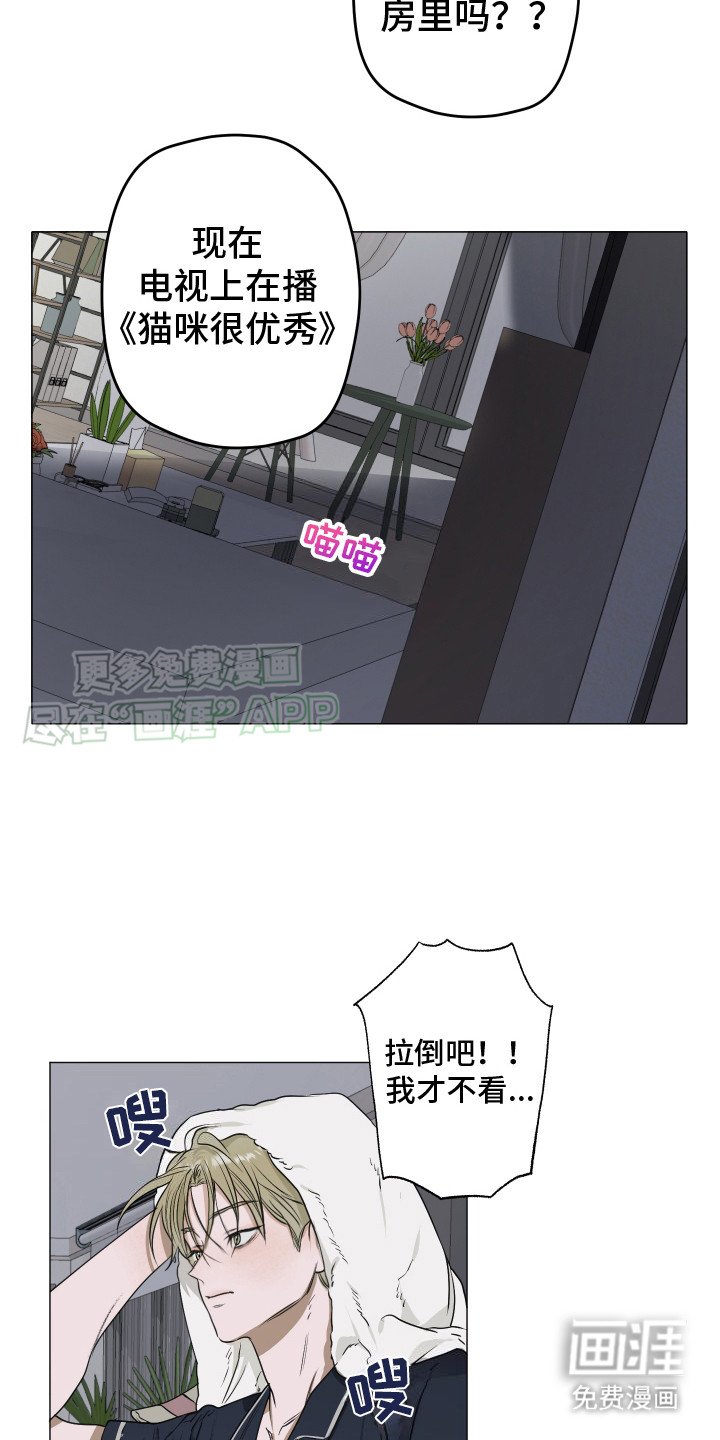 第6章：猫咪