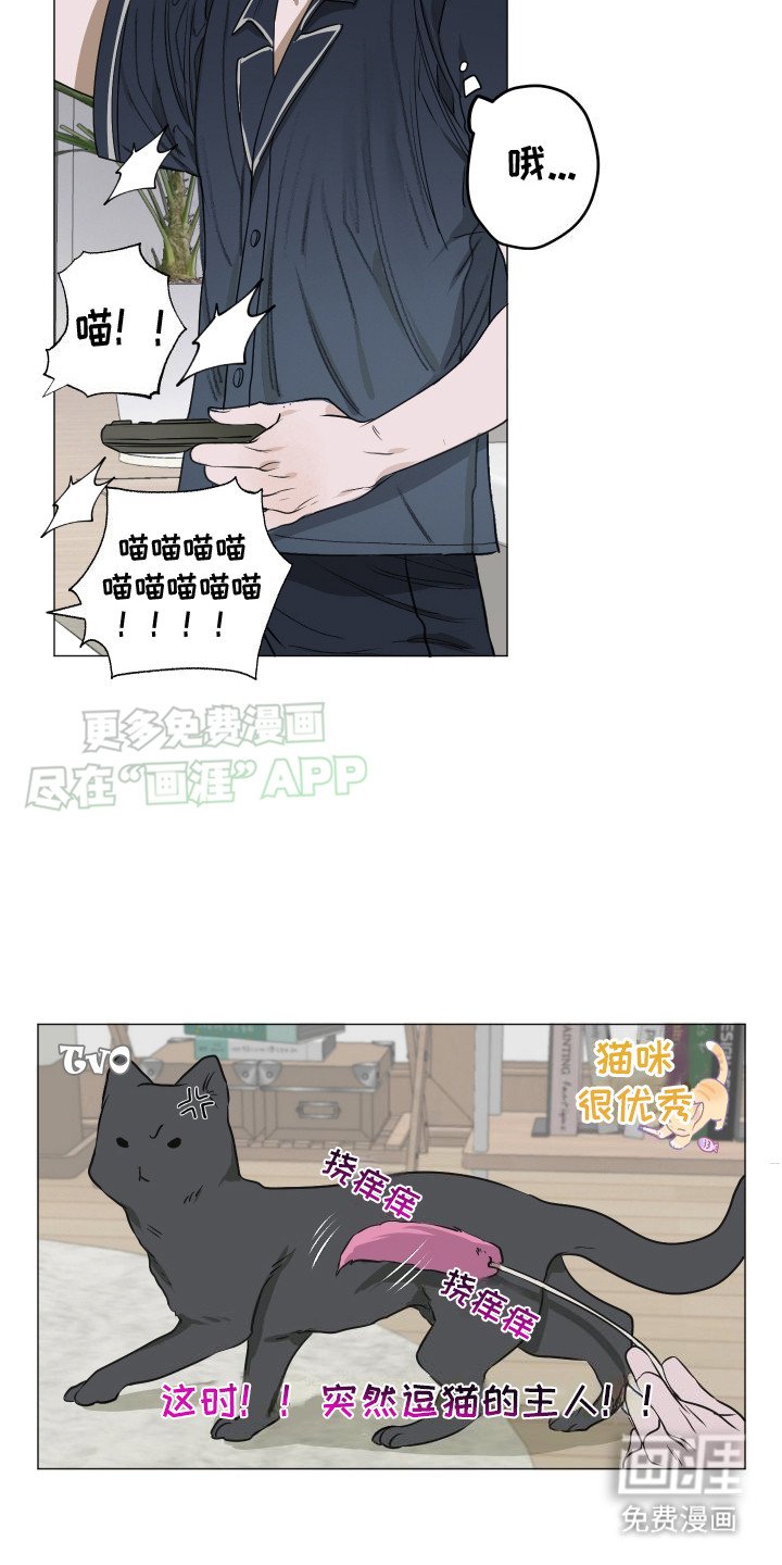 第6章：猫咪