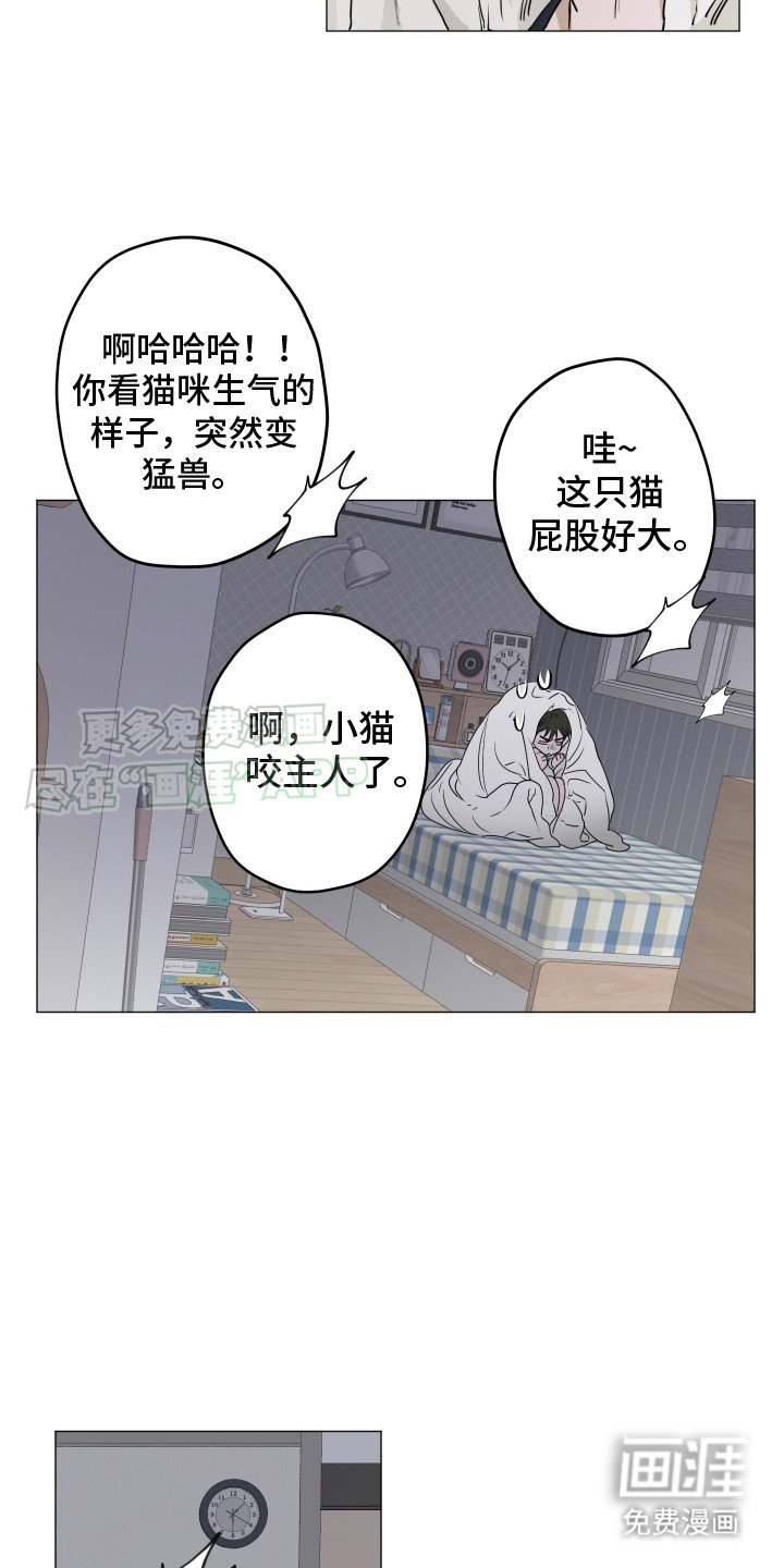 第6章：猫咪