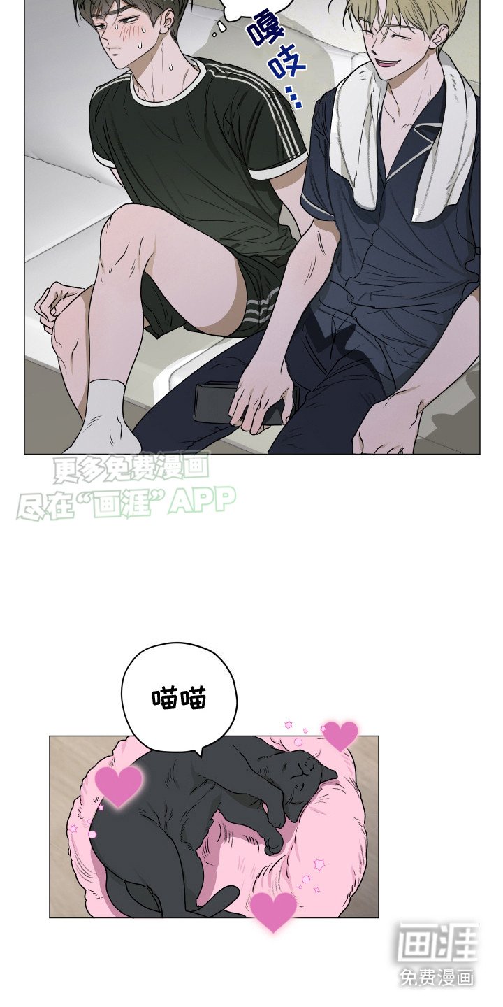 第6章：猫咪